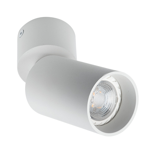 Настенно-потолочные светильники, бра Потолочный светильник Megalight 5090 WHITE поворотный