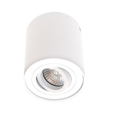 Настенно-потолочные светильники, бра Накладной светильник Questlight LONER-1-ED-White