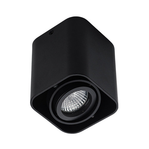 Настенно-потолочные светильники, бра Потолочный светильник Megalight 5641 BLACK поворотный